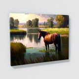 Horse In Meadow 22 Wall Art