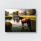 Horse In Meadow 22 Wall Art