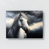 Horse Sky Dramatic Atmospheric 15 Wall Art