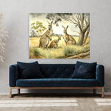 Kangaroo Family Scene 11 Wall Art