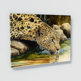Leopard Drinking Stream 16 Wall Art