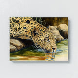 Leopard Drinking Stream 16 Wall Art