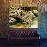 Leopard Drinking Stream 16 Wall Art