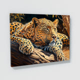 Leopard In Sun 15 Wall Art