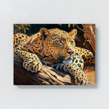 Leopard In Sun 15 Wall Art
