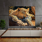 Leopard In Sun 15 Wall Art