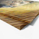 Leopard Savannah Grass 22 Wall Art