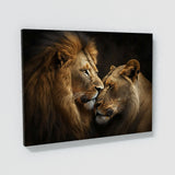 Lion Affection Display Behavior 57 Wall Art