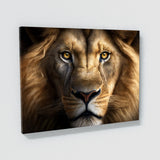 Lion Intense Gaze 42 Wall Art