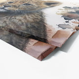 Lion Intricate Cub 18 Wall Art