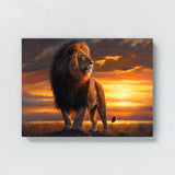 Lion Majestic Sunset 38 Wall Art