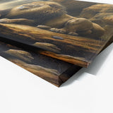 Lion Natural World 37 Wall Art