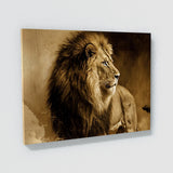 Lion Retro Sepia Nostalgia 81 Wall Art