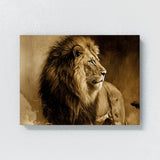 Lion Retro Sepia Nostalgia 81 Wall Art