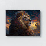 Lion With Sky 9 Wall Art