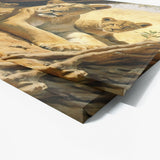 Lioness African Family 2 Wall Art