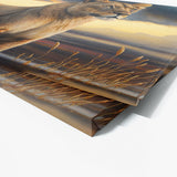 Lioness African Savannah 13 Wall Art