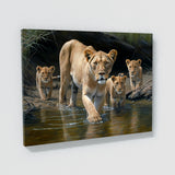 Lioness African Savannah 14 Wall Art