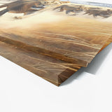 Lioness African Scene 3 Wall Art