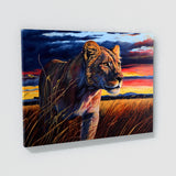 Lioness In Savannah Sunset 1 Wall Art