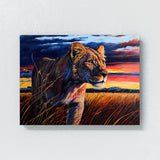 Lioness In Savannah Sunset 1 Wall Art
