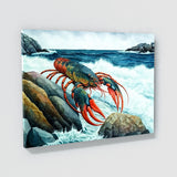 Lobster Seascape Art 13 Wall Art