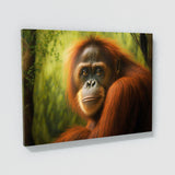 Orangutan Detailed Forest 7 Wall Art