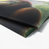 Orangutan Forest Rainbow 13 Wall Art