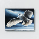 Owl Atmospheric Snowy 10 Wall Art