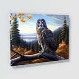 Owl Great Gray Forest 25 Wall Art