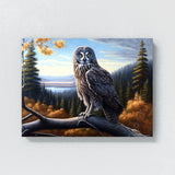 Owl Great Gray Forest 25 Wall Art