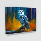 Owl Snowy 17 Wall Art