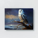 Owl Snowy 27 Wall Art