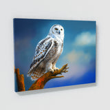 Owl Snowy 9 Wall Art
