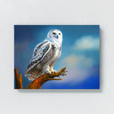 Owl Snowy 9 Wall Art