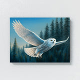 Owl Snowy Forest Sky 12 Wall Art