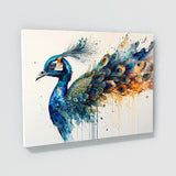Peacock Abstract Feathers 7 Wall Art