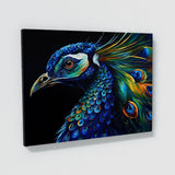 Peacock Abstract Modern 29 Wall Art