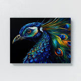 Peacock Abstract Modern 29 Wall Art