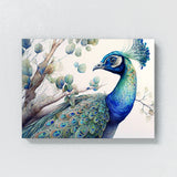 Peacock Detailed Artwork 23 Wall Art