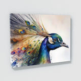 Peacock Iridescent Feathers 5 Wall Art