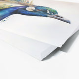 Peacock Iridescent Feathers 5 Wall Art