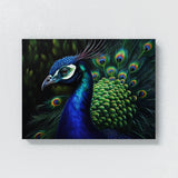 Peacock Vivid Portrait Detailed 3 Wall Art