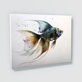 Angelfish Art 12 Wall Art