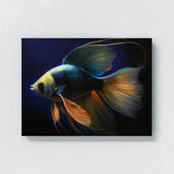 Angelfish Bold Colors 3 Wall Art