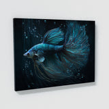 Betta Fish Art 2 Wall Art