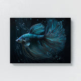 Betta Fish Art 2 Wall Art