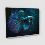 Betta Fish Art 3 Wall Art