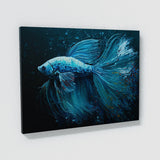 Betta Fish Art 6 Wall Art