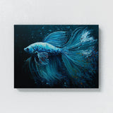 Betta Fish Art 6 Wall Art
